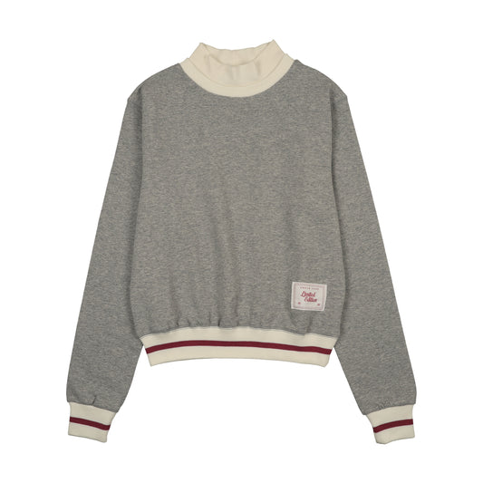 Marled Grey Turtle Neck